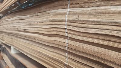 Produzione e Distribuzione Tranciati - 6